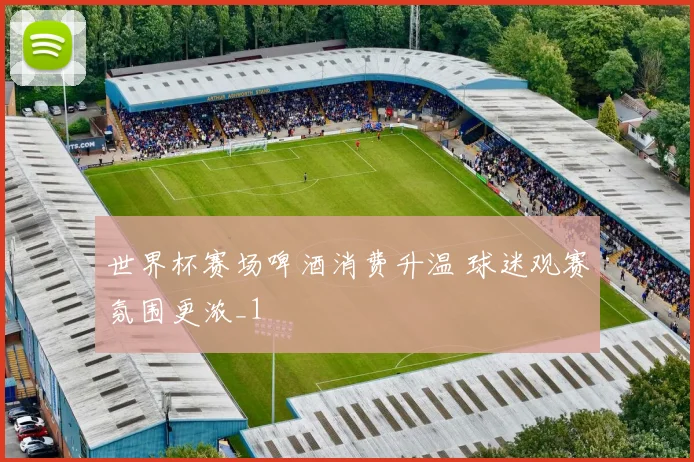 世界杯赛场啤酒消费升温 球迷观赛氛围更浓_1